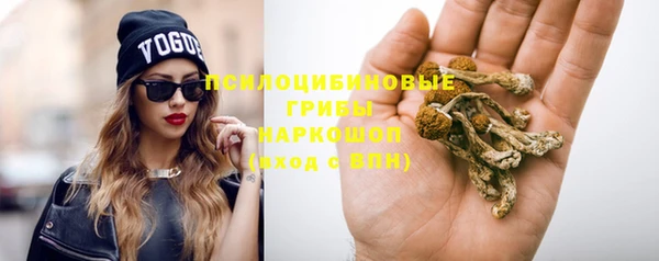 спайс Аркадак