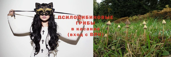 jwh Алзамай